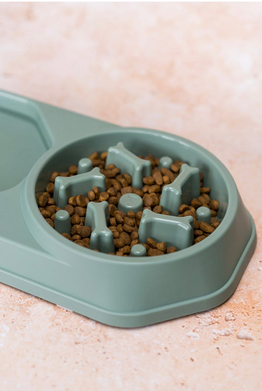 Sage Green | 3in1 Slow Feeder Bowl
