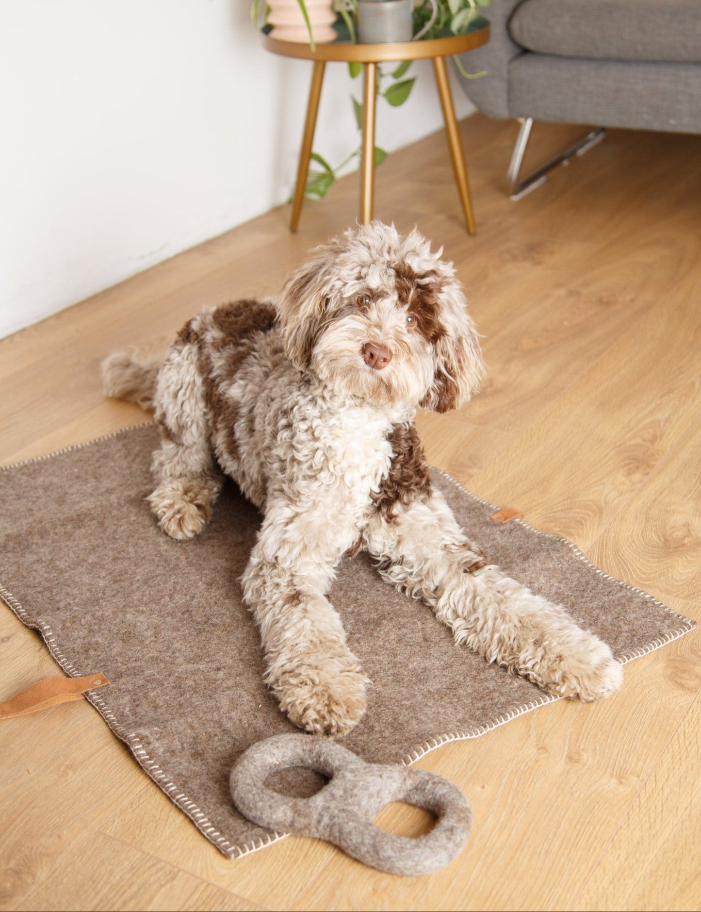 Merino Wool Dog Toys | Eco-Friendly