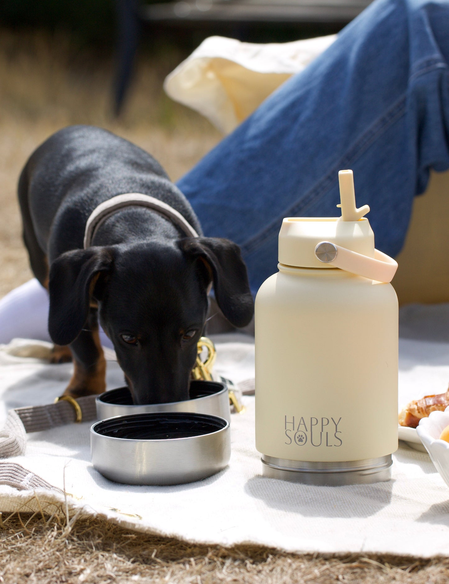 Buttermilk | Portable Dog Water Bottle with Bowls - For Travel & Hikes