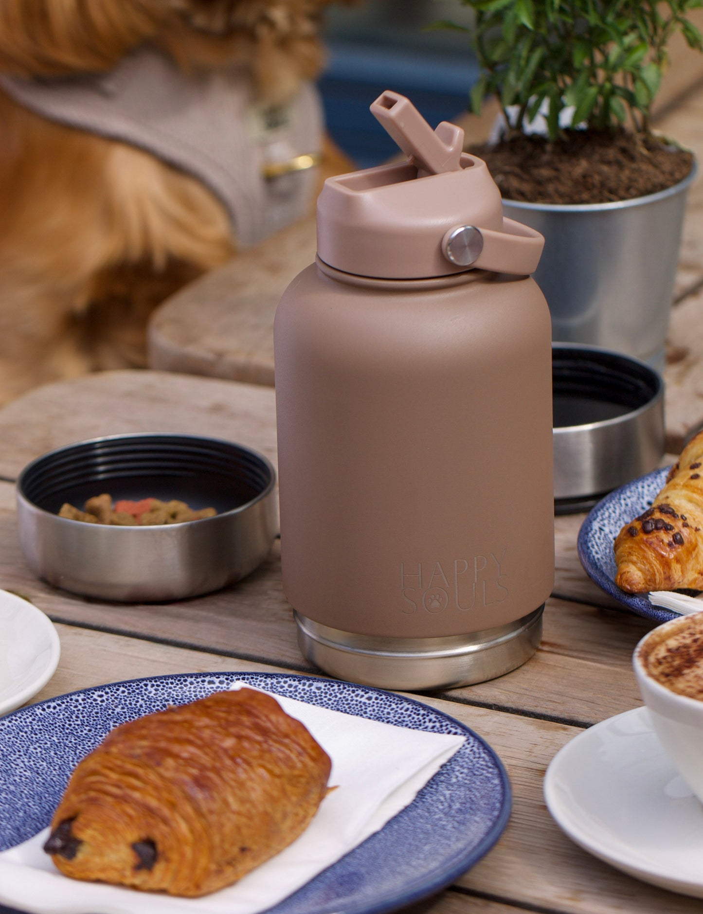 Mocha | Portable Dog Water Bottle with Bowls - For Travel & Hikes
