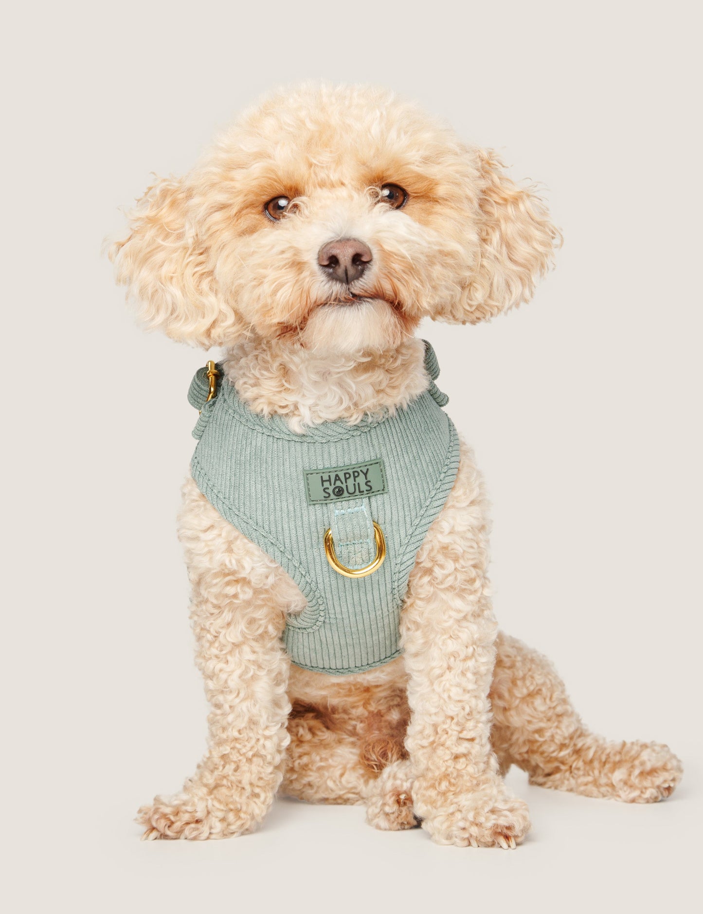 Wild & Free | Corduroy Dog Harness – Sage Green