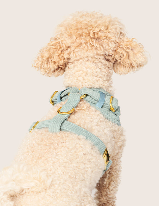 Wild & Free | Corduroy Dog Harness – Sage Green