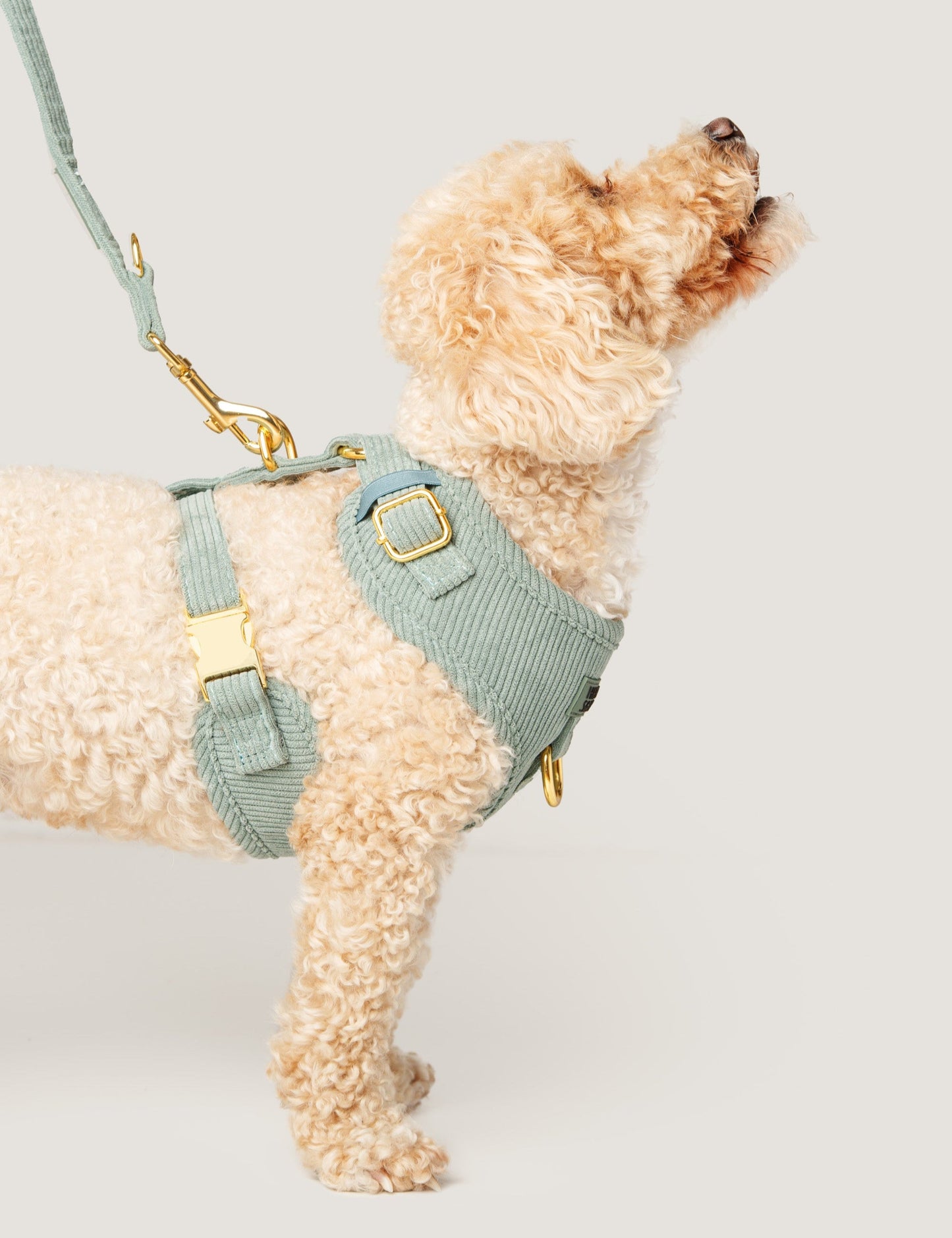 Always Chic | Corduroy Dog Harness – Soft Taupe