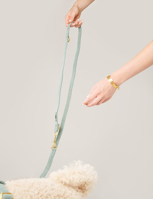 Wild & Free | Corduroy Double Ended Dog Lead - Sage Green