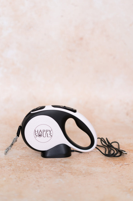 Retractable | Led Light Lead