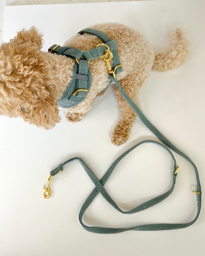 Wild & Free | Corduroy Dog Harness – Sage Green
