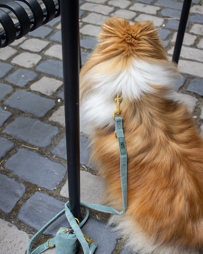 Wild & Free | Corduroy Dog Harness – Sage Green