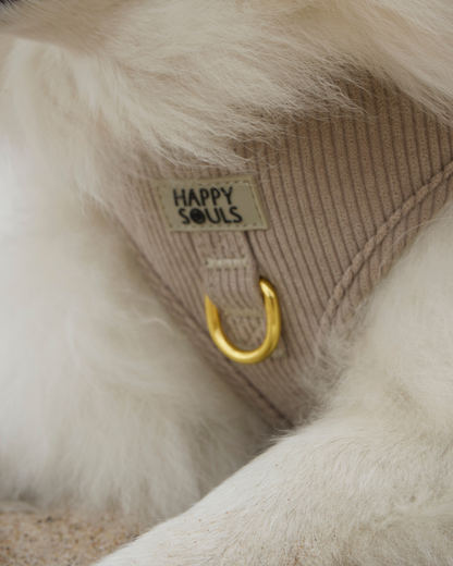 Always Chic | Corduroy Dog Harness – Soft Taupe
