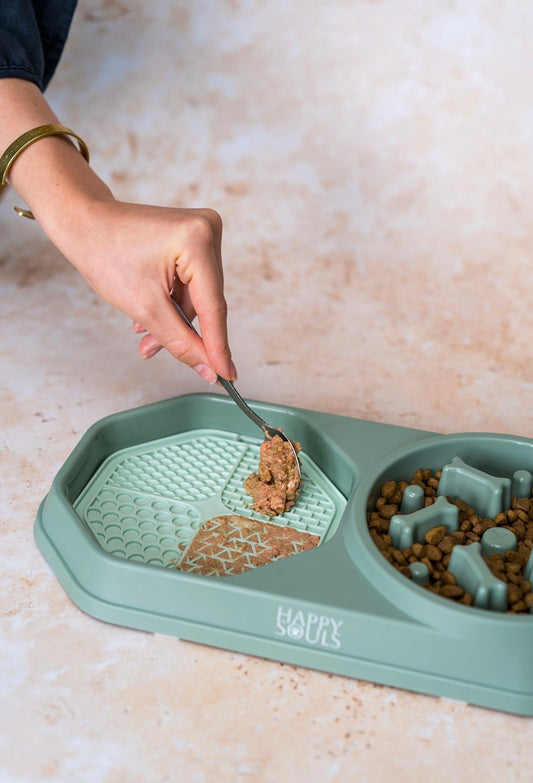 "Sage Green" 3 in 1 Slow Feeder Bowl