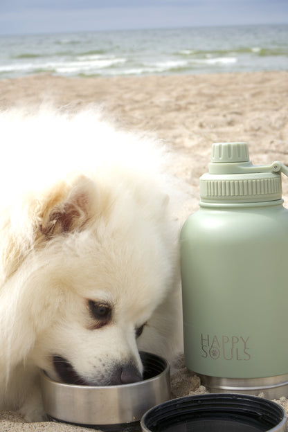 "Forest Sage" 3 in 1 Portable Water Bottle