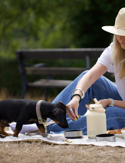Buttermilk | Portable Dog Water Bottle with Bowls - For Travel & Hikes
