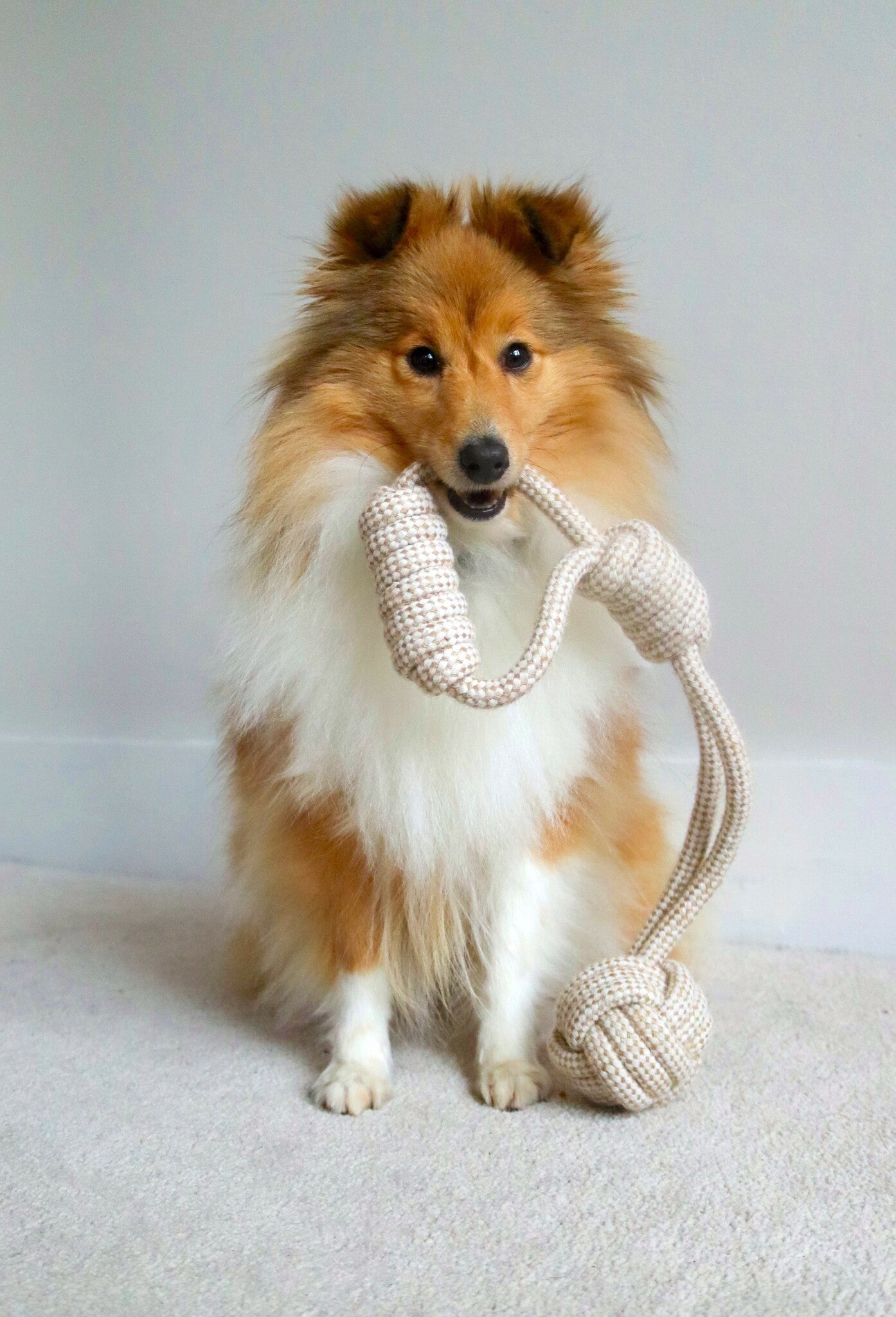 “Grip & Fetch Ball” Hemp & Cotton Rope Toy